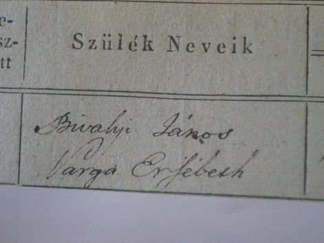 Bivalyi Erzsébet szépnagyanyám születési bejegyzése 1830